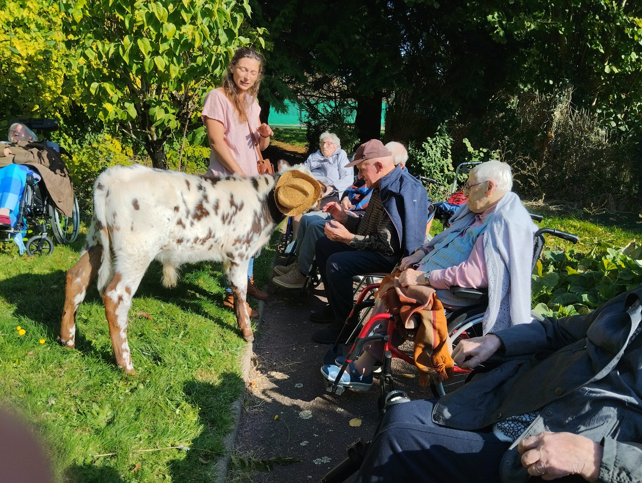 10 13 Les petits sabots dans les gros (12)