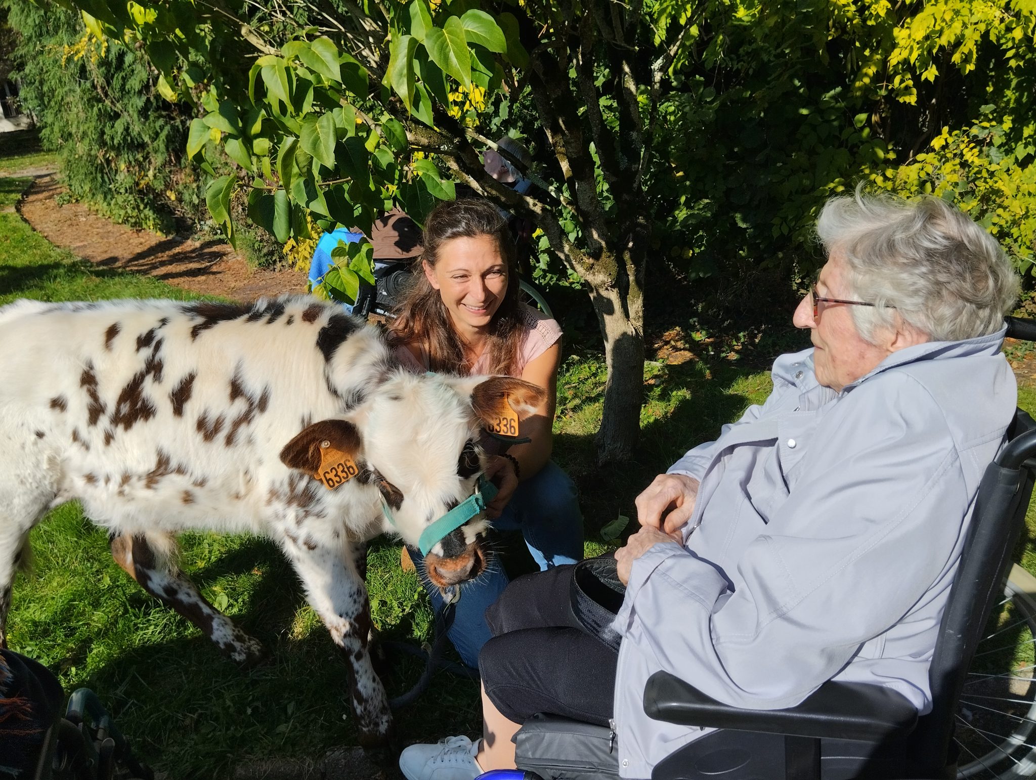 10 13 Les petits sabots dans les gros (2)