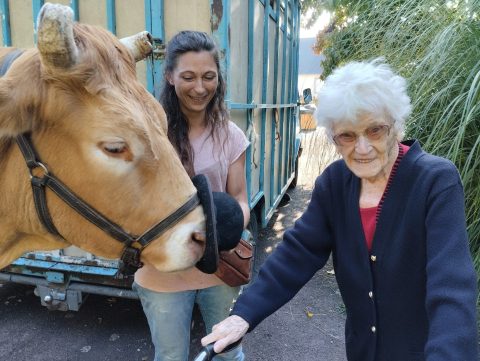 10 13 Les petits sabots dans les gros (29)