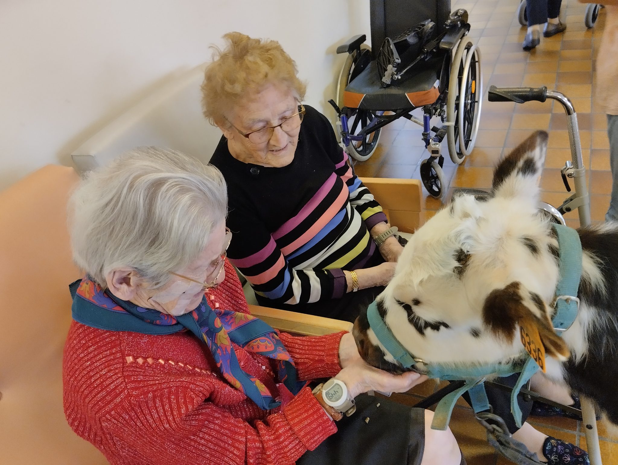 10 13 Les petits sabots dans les gros (42)