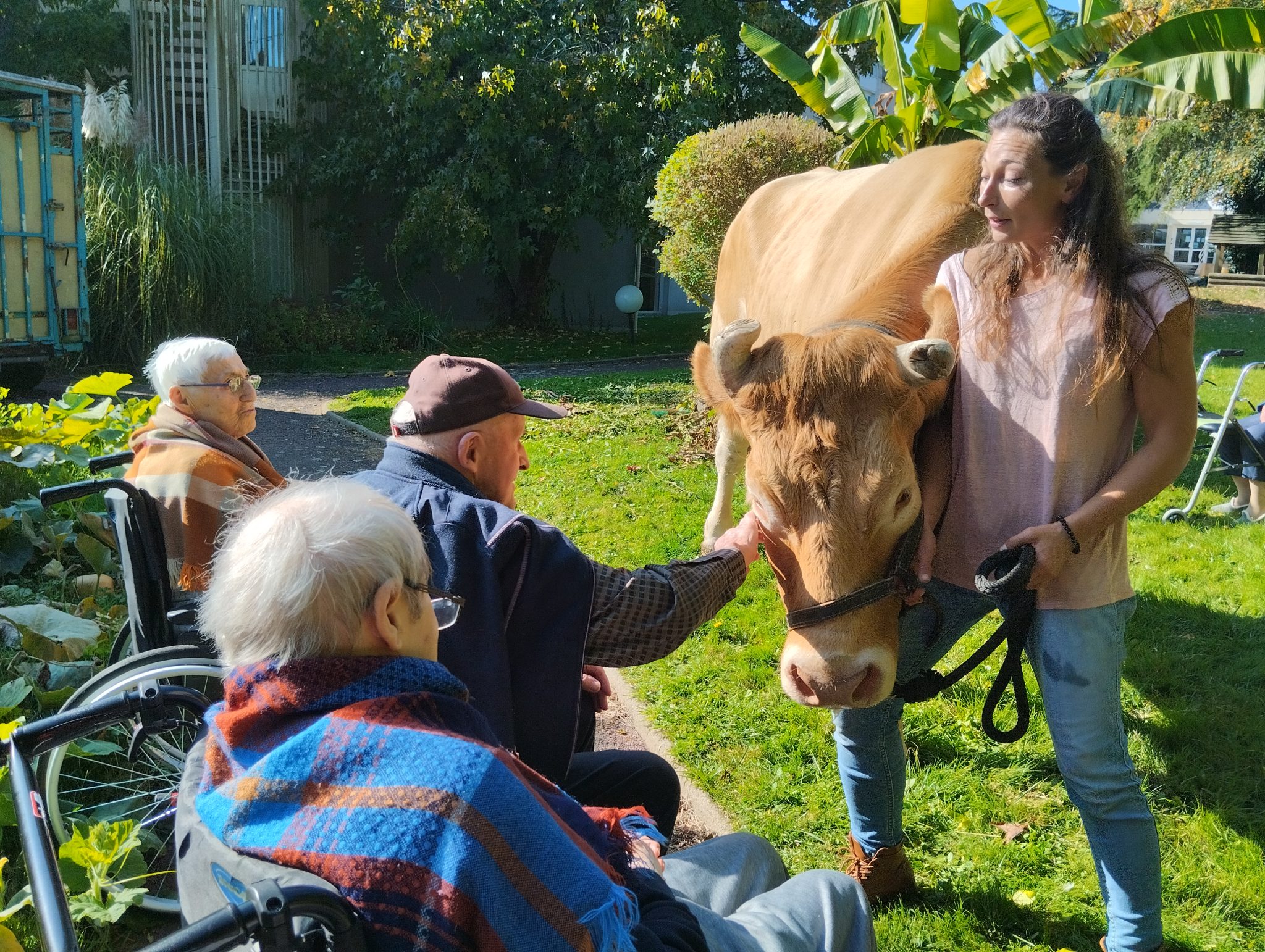 10 13 Les petits sabots dans les gros (9)