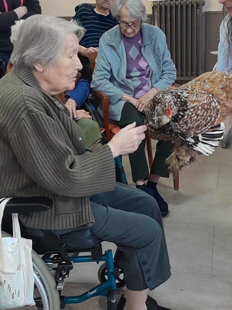 les petits sabots dans les gros (7)